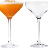 Chef & Sommelier Martini glas (21 cl) - set van 2